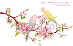 春花水彩鸟, PNG