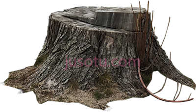 树桩,tree stump PNG