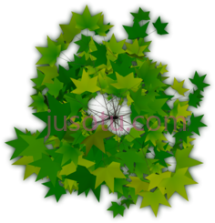 树木,树梢 PNG