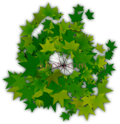 树木,trees plan PNG