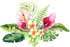 水彩热带花卉PNG