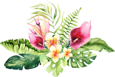 水彩热带花卉,hand drawn watercolor tropical flower PNG