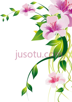 花卉边框,flowers PNG