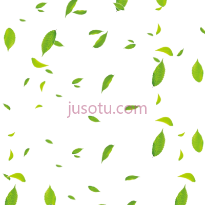 叶子,available in format PNG