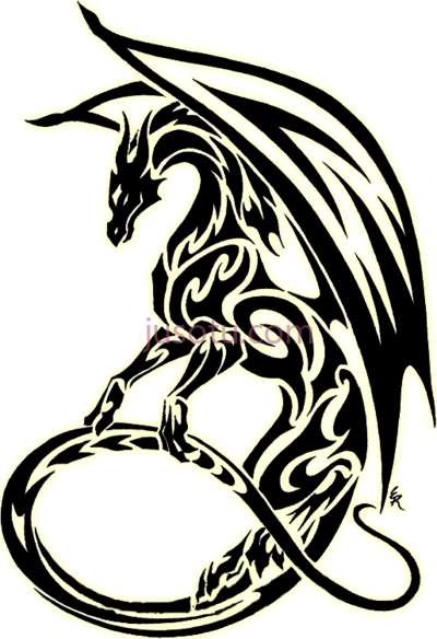 黑白龙,black and white dragon best symbol PNG