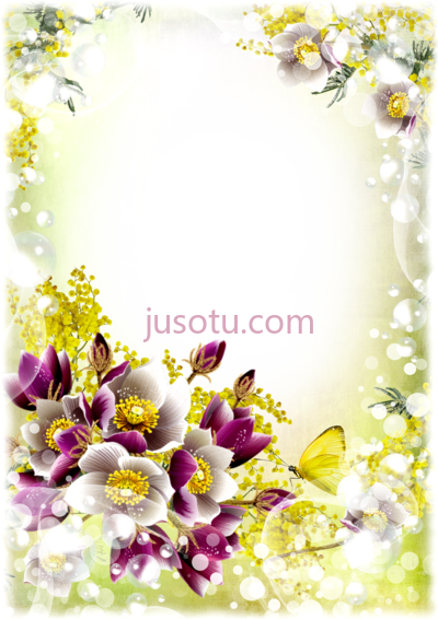 花边框,flower frames PNG