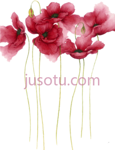水彩花卉PNG