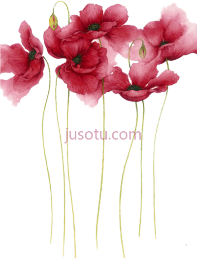 水彩花卉,watercolor painting flower art PNG
