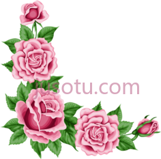 粉红花边,玫瑰 PNG