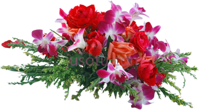 花束,icons flower bouquet PNG