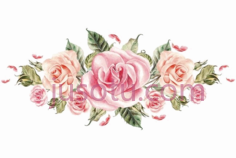 粉红色花玫瑰PNG