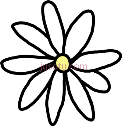 雏菊花,flores PNG