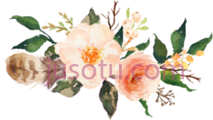 粉色花朵花束,flower antler baby shower PNG