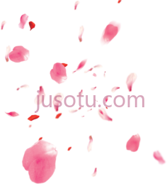 樱花瓣,flor de cerezo petalos PNG
