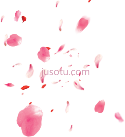 樱花瓣,flowers petali rose petals petalsofroses pink love PNG