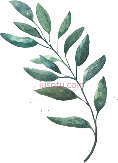 树叶,watercolor painting leaf PNG