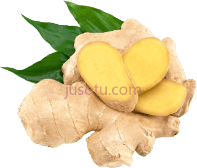 生姜,organic india tulsi green tea lemon ginger 18 bags PNG