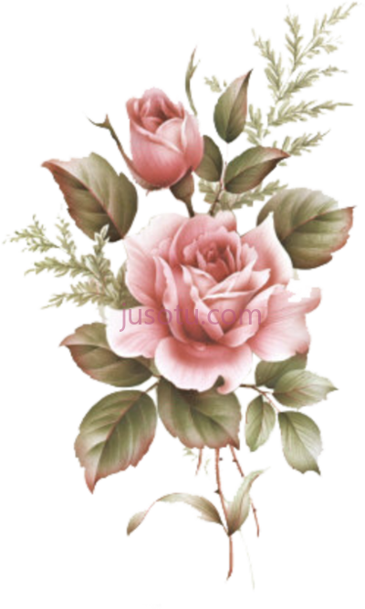 花,flowers cute kawaii black and grey PNG