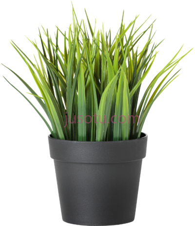 盆栽,potted plants PNG