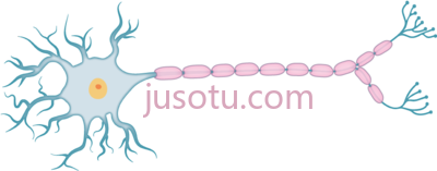 神经元,neuron PNG