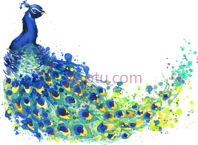 孔雀羽毛,banner black and white peacock feather peafowl PNG