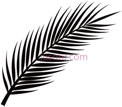 棕榈叶,palm leaf PNG