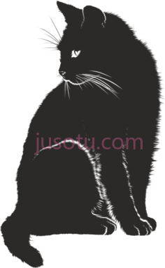 黑猫PNG