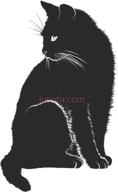 黑猫,result time spent cats never wasted PNG