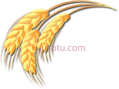 小麦,galhos de trigo ramo desenho PNG