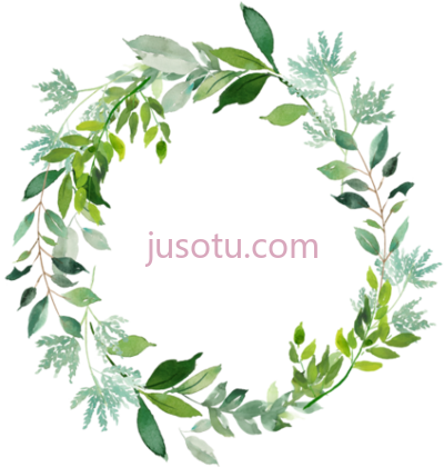 水彩树叶,watercolor silver leaf eucalyptus branch PNG