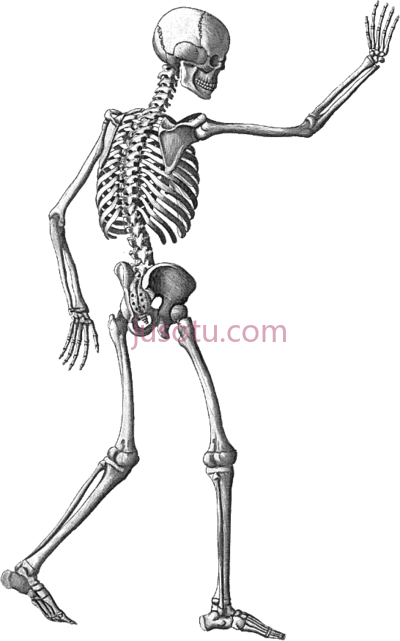 万圣节骷髅,halloween skeleton PNG