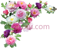 花角, PNG