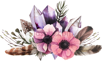 水彩羽毛花,watercolor feather and flower PNG