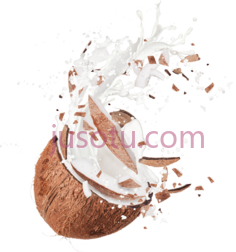 椰子巧克力飞溅PNG