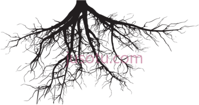 树根,soil and roots black and white PNG