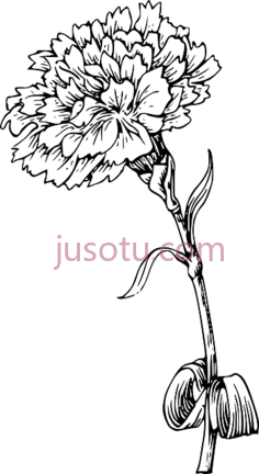 黑白花盏PNG