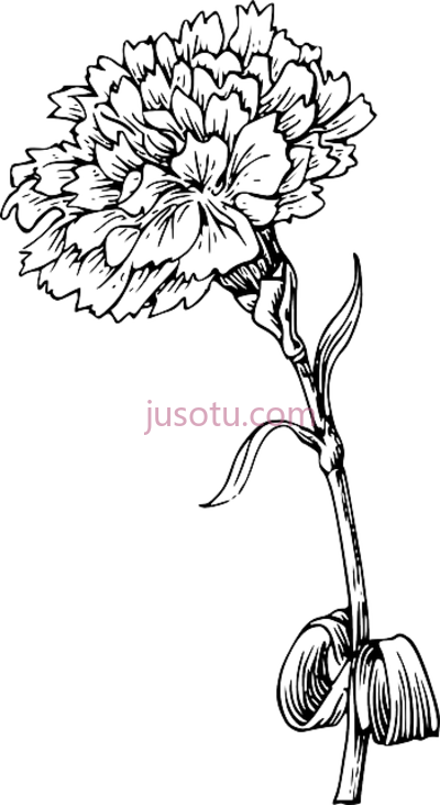黑白花盏,flower outline marigold black and white PNG