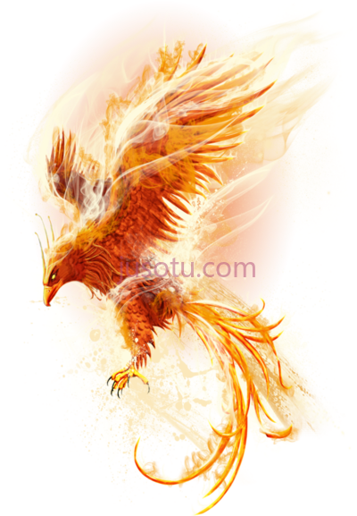 里包恩,phoenix reborn PNG