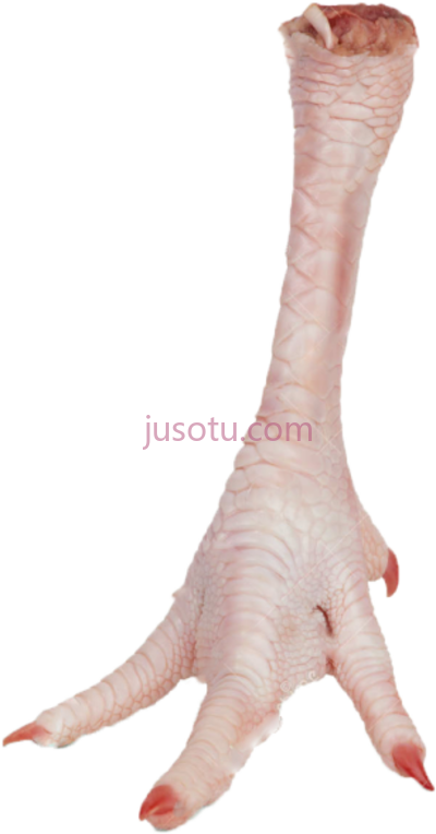 鸡爪,chicken leg feet PNG