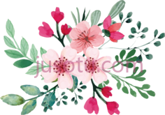 水彩樱花,flower PNG