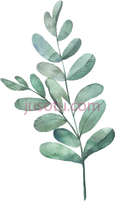水彩绿叶,植物,植被,草木 PNG