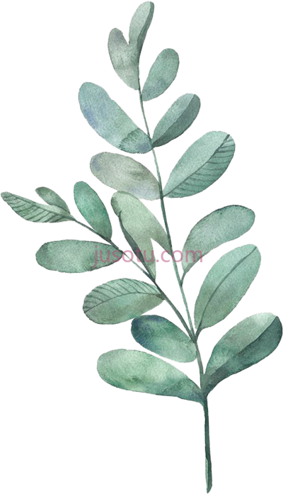 水彩绿叶,tealdivider g watercolour green leaves PNG
