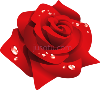 红玫瑰,rosas vermelhas PNG