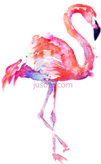 火烈鸟水彩,flamingo water color PNG
