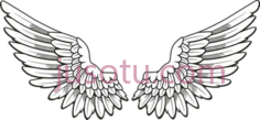 天使之翼PNG