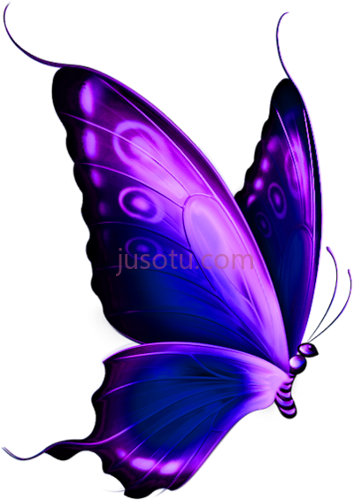 蓝紫色装饰蝴蝶,blue and purple deco butterfly PNG