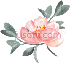 牡丹花, PNG
