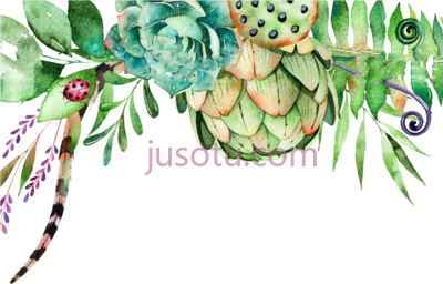 多肉水彩,watercolor crane composition PNG