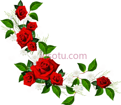 玫瑰花边,decorative element red roses white flowers and hearts PNG