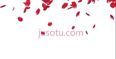 玫瑰花瓣,rose petals PNG